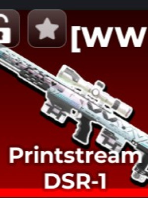 DSR-1 "Printstream"