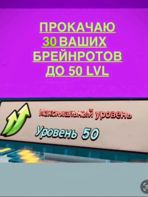 Прокачаю 30 брейнротов до 50 уровня