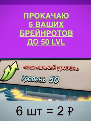 Прокачаю 6 брейнротов до 50 уровня