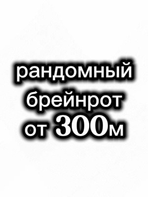 💫рандомный брейнрот 300м+✨