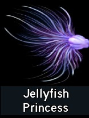 Jellyfish Princess