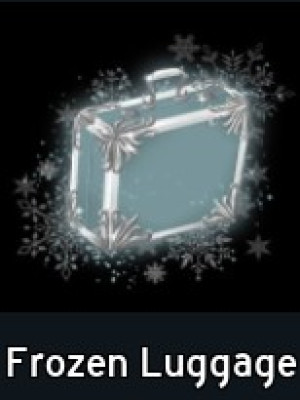 Frozen Luggage
