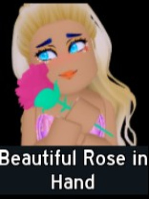 Beautiful Rose in Hand