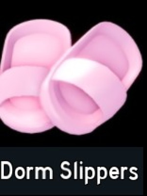 Dorm Slippers
