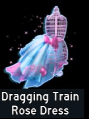Dragging Train Rose Dress