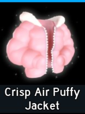 Crisp Air Puffy Jacket