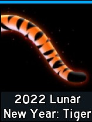2022 Lunar New Year Tiger