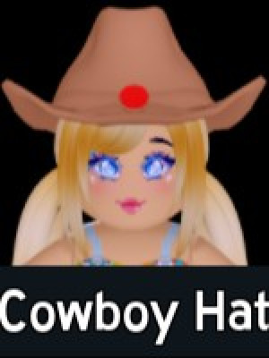 Cowboy Hat
