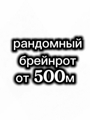 рандомный брейнрот от 500м