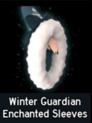 Winter Guardian Enchanted Sleeves
