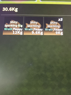 ssw ( shiny sparkling wrath ) Floppy
