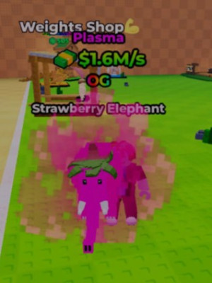 🏆OG STRAWBERRY ELEPHANTE🏆PLASMA🏆