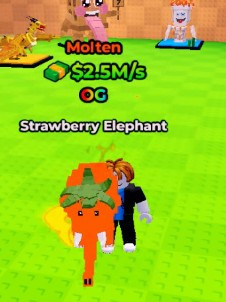 🏆Molten 🏆OG 🏆Strawberry Elephant 🏆