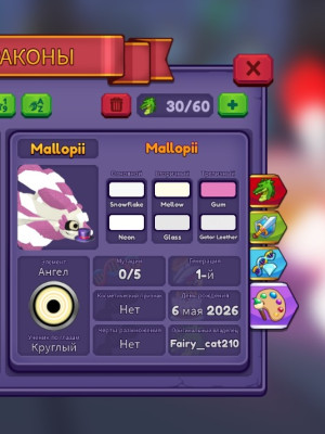 Mallopii Dragon adventures
