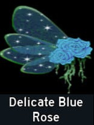 Delicate Blue Rose