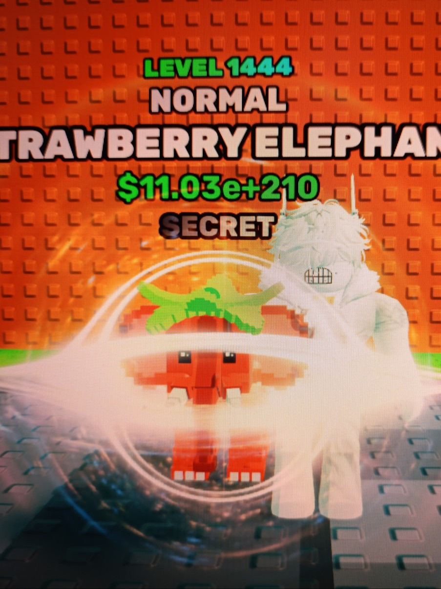 Strawberry elephant, 1444 LVL, Normal.