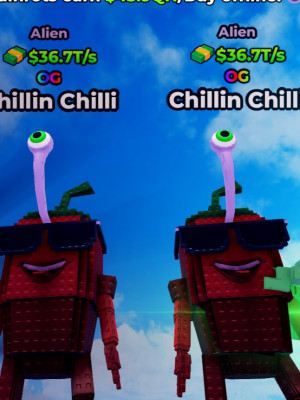 Chillin Chilli