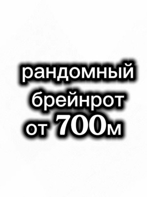 рандомный брейнрот от 700м