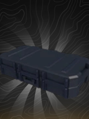 SKIN CASE 1 X3 | МОМЕНТАЛЬНАЯ ВЫДАЧА