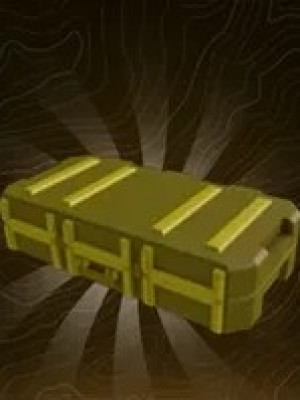 SKIN CASE 2 X3 | МОМЕНТАЛЬНАЯ ВЫДАЧА