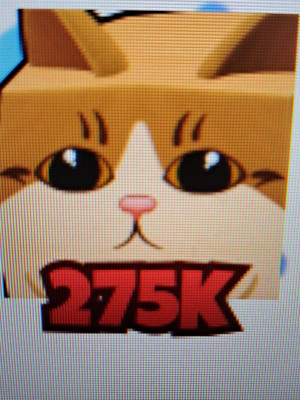 Meowl