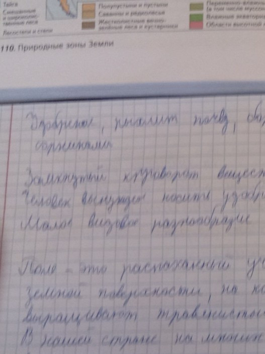 Сделаю ваше дз,конспект,и т.д