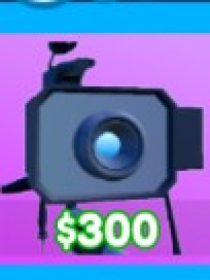 Camera Spider
