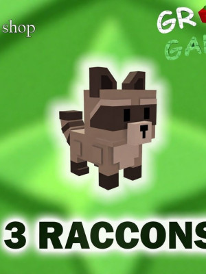 3 ЕНОТА 3 RACCOONS БЫСТРО И ДЕШЕВО