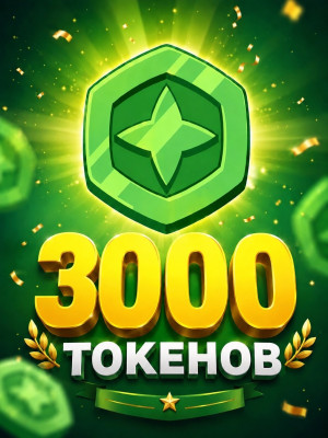 3000 токенов