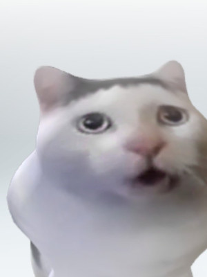 Котику :3