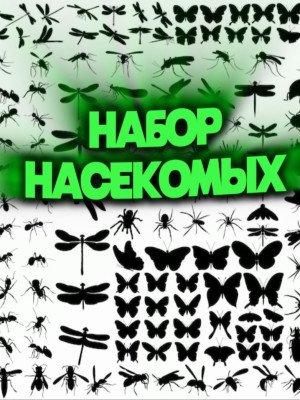 НАБОР:НАСЕКОМЫЕ