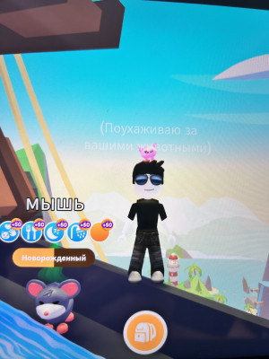 *Поухаживаю за петамт