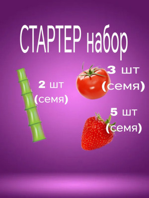 Стартер набор