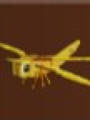 Golden Dragonfly