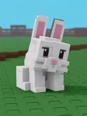 BUNNY