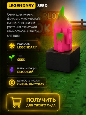 Dragon Fruit seed