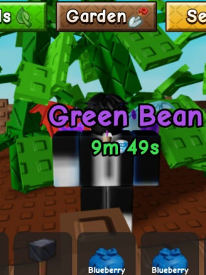 Код на Green bean