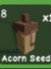 acorn seed
