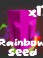 rainbow seeed
