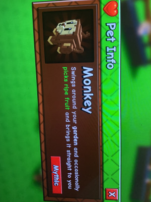 Monkey