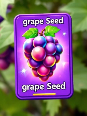 🍇 GRAPE SEED 🍇
