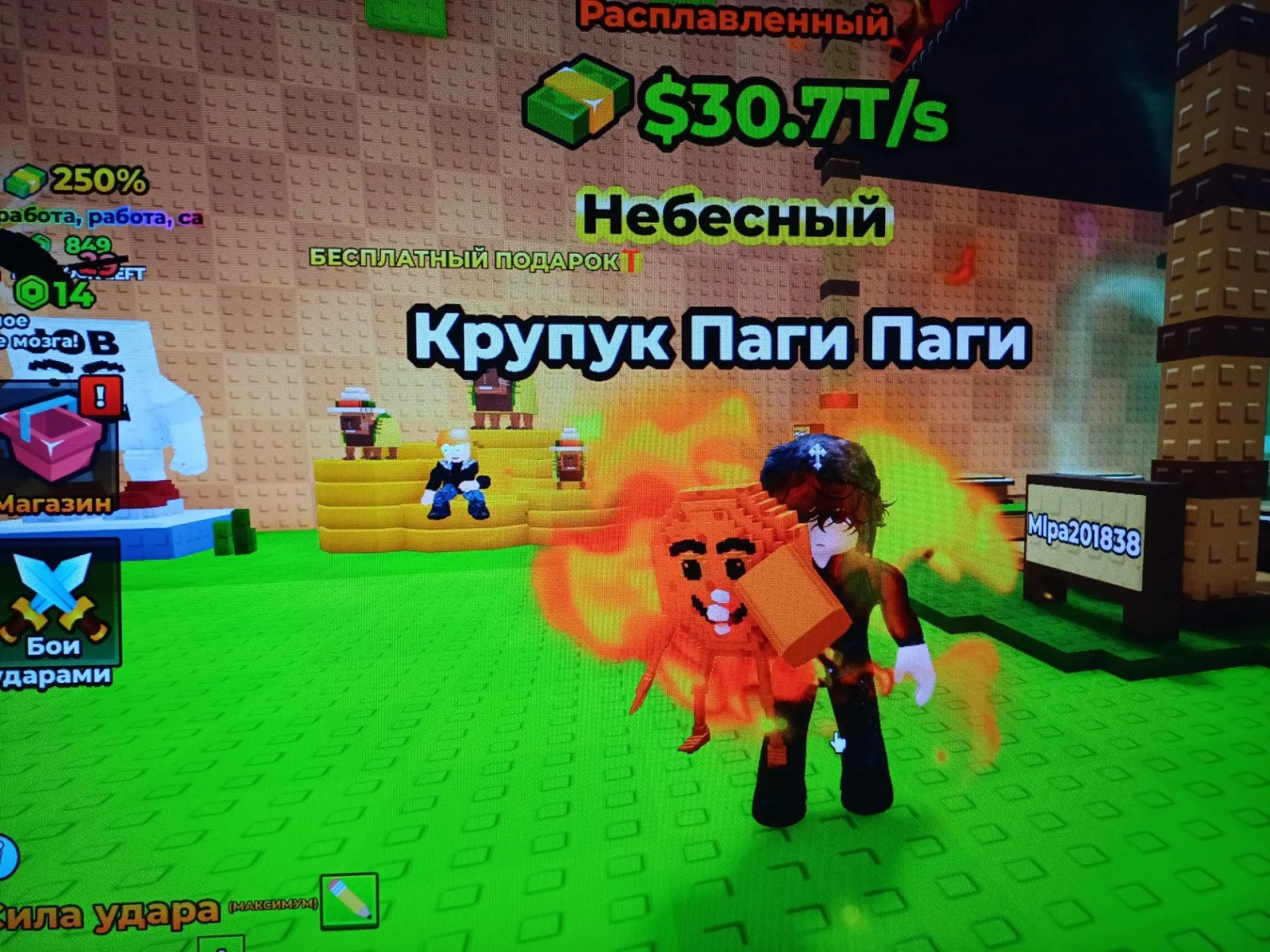 крупук паги паги 30T/S