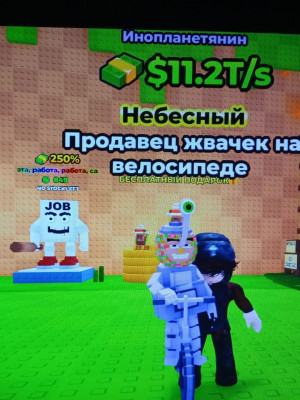 пчиклятера 11т