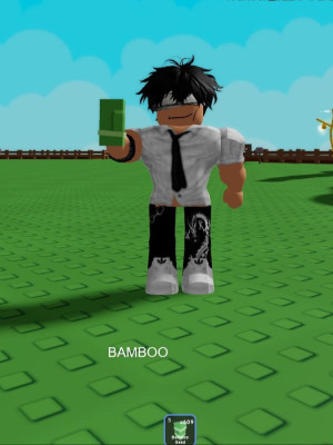 BAMBOO X500