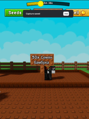 50 Семян бамбука | 50 Bamboo seed