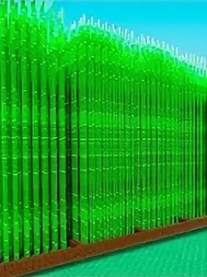 BAMBOO 25 SEED передам через почту