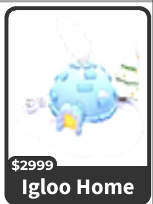 Igloo Home