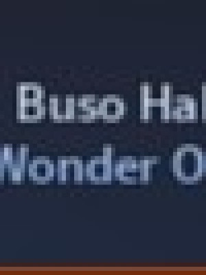 wonder of u