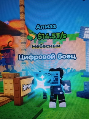 Цифровой боец