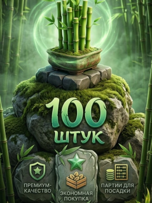 🎍 семена Бамбука 100 штук🎍 Быстрая выдача
